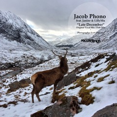 Premiere : Jacob Phono - Late December [Stripped Recordings]