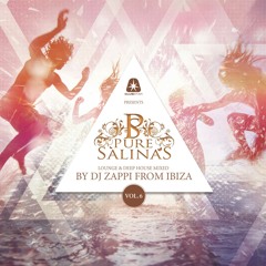 Pure Salinas Vol.6 (Compiled by DJ Zappi) - Teaser