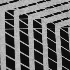Only The Unchanging Shapes of