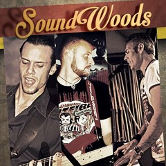 SoundWoods Acoustic Trio - U2 - I Still Haven't Found What I'm Looking For