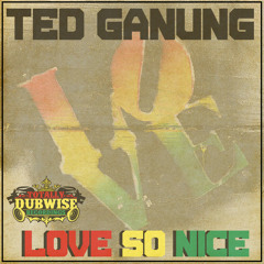 Junior Kelly│Love So Nice│Ted Ganung Remix│FREE DOWNLOAD