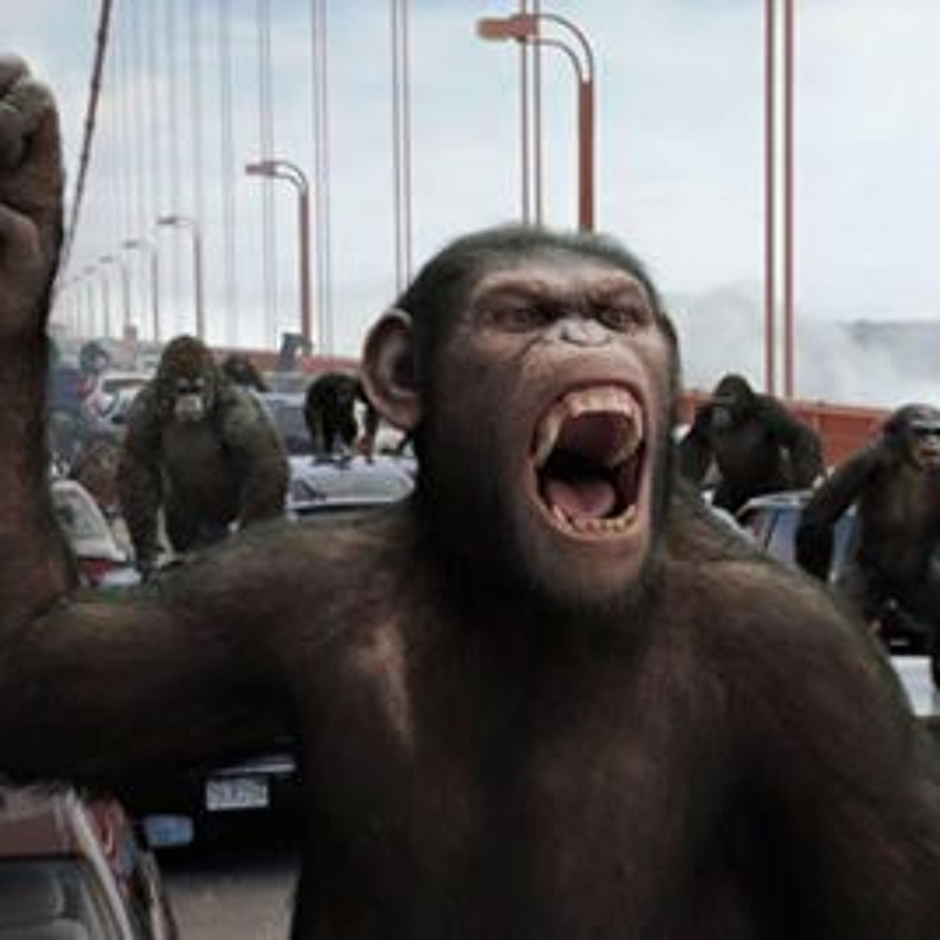GORILLAS IN THE JUNGLE episode artwork