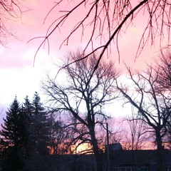 TEXHOMA TERI THE GOODS! (1)