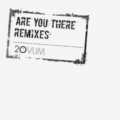 Josh Wink - Are You There (Ben Klock Remix)