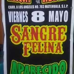 MESQUIT RODEO SANGRE FELINA-APARECIDO-TORMENTA CHICANA VIER 8 DE MAYO