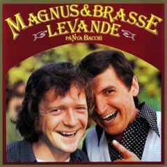 Svordomsvisan - David Åkesson