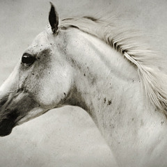 C#RI$ G. - White Horse Torete (2015 Edit)