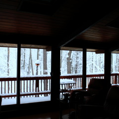 She Fucking Loves Svedka