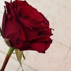 لِعُمريّ أنتِ كمَالُ الهَوى