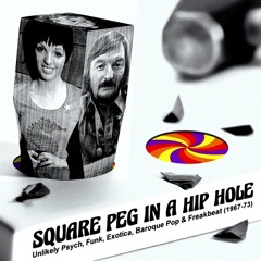 SQUARE PEG IN A HIP HOLE VOL.1 (1967-73) *UNLIKELY PSYCH/FUNK COMPILATION*