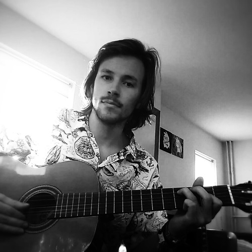 Stream The Strokes Under Control Acoustic Cover by Jasper Scholten Listen online for free on