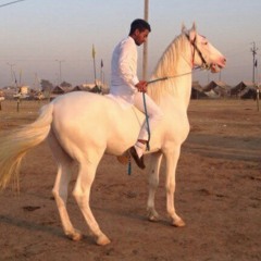 Gadaar by Harbhajan mann and Dr Zeus