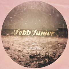 Sebb Junior - Rain On Me