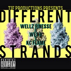 Different Strands (Mix It Up) We$ B KC Flame Wellz Finesse