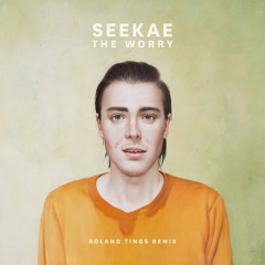 Seekae - The Worry (Roland Tings Remix)