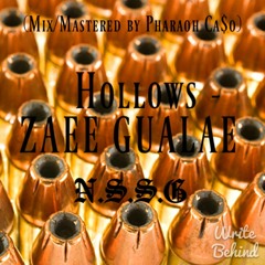 Hollows - ZAEE GUALAE