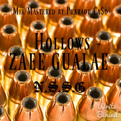 Hollows - ZAEE GUALAE