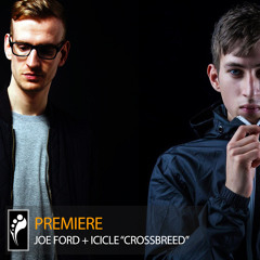 Premiere: Joe Ford & Icicle “Crossbreed”
