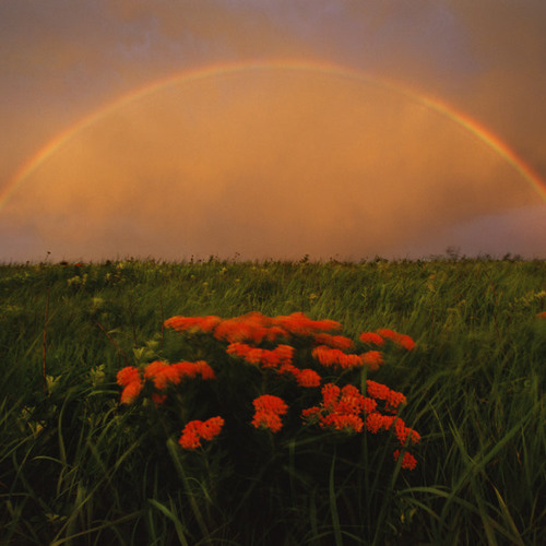 Somewhere Over The Rainbow -- a collaboration with Pios Hausmusik