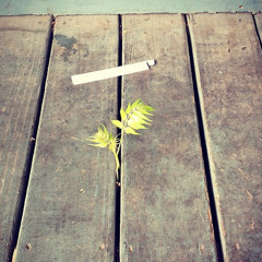 "Only Thing You Got To Lose Is Breathing"