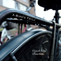 A Birds Trill (2015 Demo)