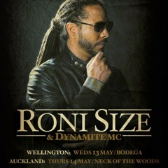 Niteside 2015 Roni Size Promo Mix