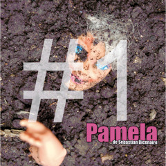 Pamela  - Épisode #1 - Palm Beach (10'35)