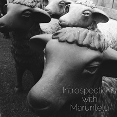 Introspections with Maruntelu