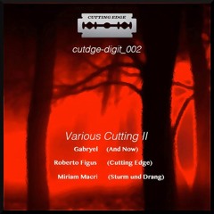 02 Cutdge - Digit002- V.A. - Various Cutting II Roberto Figus Cutting Edge Cut