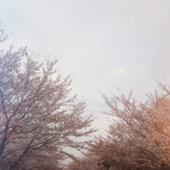 予感に満ちたこの世界で.:♪*:･’ﾟ♭.:*･♪’ﾟ｡.*#:･’ﾟ.:*♪:･’.:♪*: