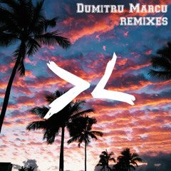 Blue Hawaii - In Two (Dumitru Marcu RMX)