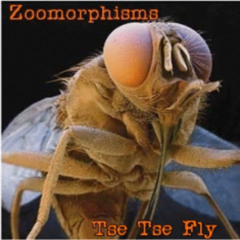 Zoomorphisms # 9 - Tse Tse Fly