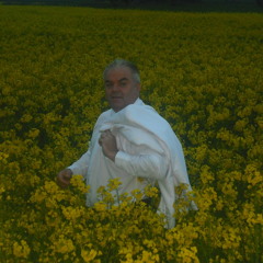 Lady In Blue Tom Cooper