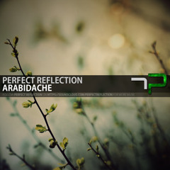 Perfect Reflection - Arabidache