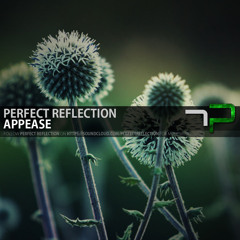 Perfect Reflection - Appease