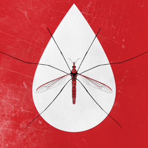 Queens Of The Stone Age - Mosquito Song