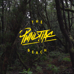 PWNDTIAC Ft. Krue - The Beach (Roisto Remix)