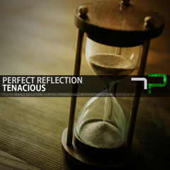 Perfect Reflection - Tenacious