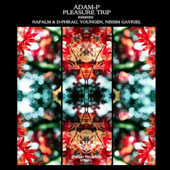 Adam-P - Pleasure Trip (Original Mix)