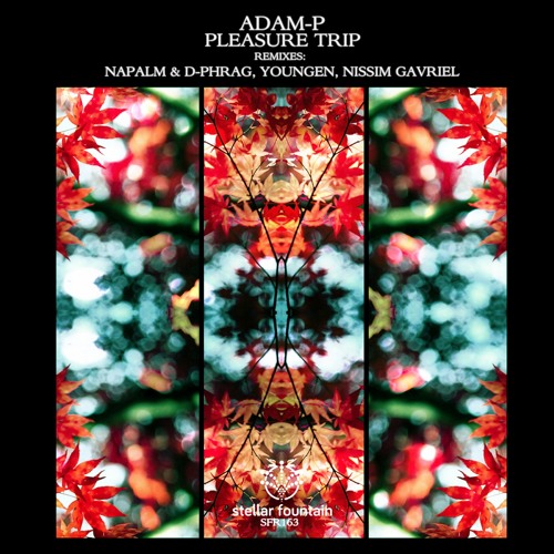 Adam-P - Pleasure Trip (Original Mix)