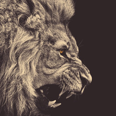 Jhoan Ortiz Ft. Angel Gabriel - Meteor Shower 2k15