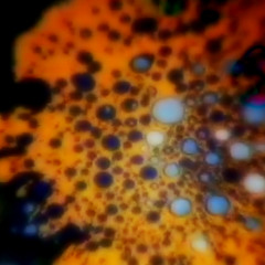 Dim Electrics - Otherside