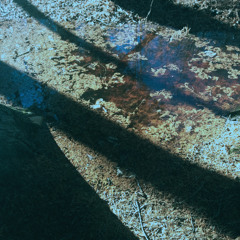 faded garden