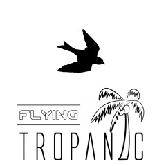 Flying