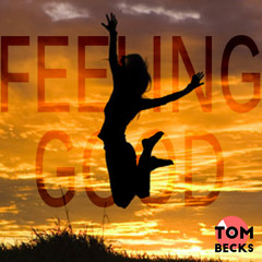 Gregory Porter - Feeling Good (Tom Becks Remix)
