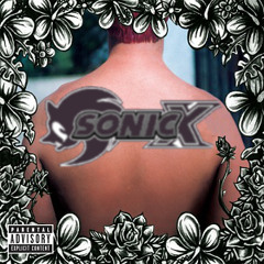 Sublime X Theme