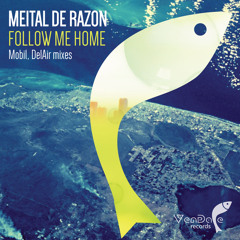 #151 Meital De Razon - Follow Me Home (Mobil Remix)