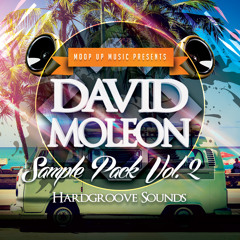 David Moleon Sample Pack Vol​.​2 - Hardgroove Sounds