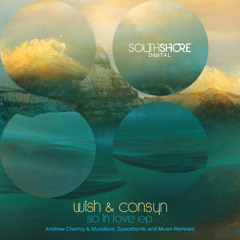 Wish & Consyn - So In Love ( Spacebrydz Love Sick Remix ) PREVIEW