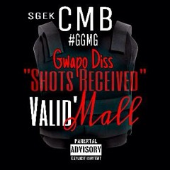 Valid'Mall - Shots Recieved x Gwapo Diss